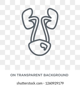 Non-gonococcal urethritis icon. Trendy flat vector Non-gonococcal urethritis icon on transparent background from Diseases   collection. High quality filled Non-gonococcal urethritis symbol use for web
