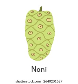 Noni flat vector illustration. Noni cartoon clipart style isolated on white background. Tropical and Exotic fruit concept