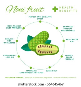 Noni fruit health benefits and nutrition infographics. Superfood morinda berry or Indian mulberry nutrients and vitamins information. Healthy detox natural product info. Flat vector organic food icon.