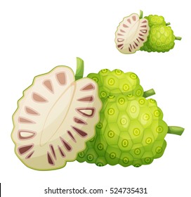 Noni fruit illustration. Cartoon vector icon isolated on white background. Series of food and ingredients for cooking.