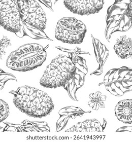 Noni fruit with leaves and flower vector sketch. Seamless pattern design ink style. Hand drawn engraved tropical morinda citrifolia, cheese fruit. Medicinal plant. Super food