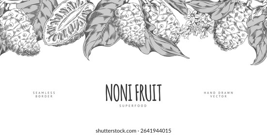 Noni fruit with leaves and flower vector sketch. Horizontal seamless border design ink style. Hand drawn engraved tropical morinda citrifolia, cheese fruit. Medicinal plant. Super food