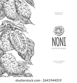 Noni fruit with leaves and flower vector sketch. Seamless border label design ink style. Hand drawn engraved tropical morinda citrifolia, cheese fruit. Medicinal plant. Super food