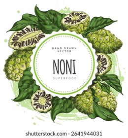 Noni fruit with leaves vector sketch. Super food round label design. Hand drawn tropical morinda citrifolia. Green cheese fruit. Medicinal plant. Botanical color illustration isolated