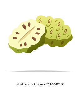 Noni-Frucht oder Morinda-Vektorgrafik einzeln