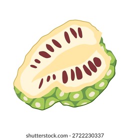 Fruto de noni que muestra su sección transversal con carne segmentada de color claro y numerosas semillas oscuras, que representan productos tropicales utilizados para conceptos de alimentos y jugos saludables