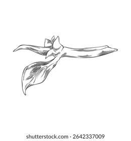 Noni fruit tree twig with leaves sketch icon. Hand drawn engraved tropical morinda citrifolia foliage. Ayurveda herb, medicinal plant. Super food. Vector botanical ink illustration isolated