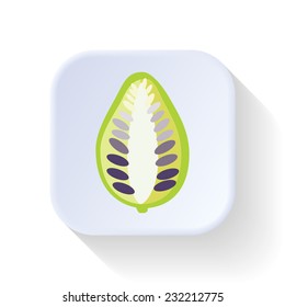 Noni fruit vector graphic illustration design art