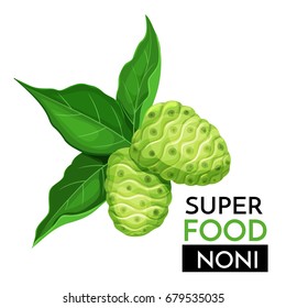 Noni vector icon. Healthy detox natural product superfood illustration for design market menu superfood .