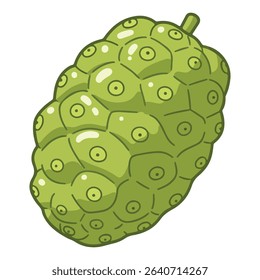 Noni vector illustration, simple design