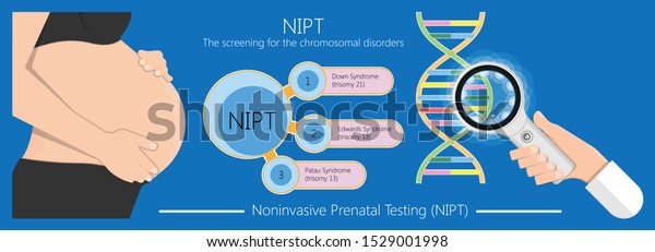 Noninvasive Prenatal Testing Nipt Screening Genetic Stock Vector Royalty Free 1529001998