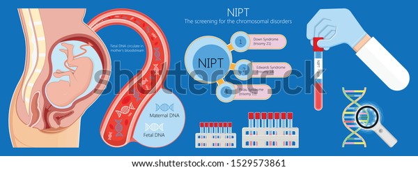 Noninvasive prenatal testing NIPT\
screening genetic disorders bloodstream cfDNA lab plus diagnostic\
diagnose 21 18 13 cell free chromosomal NIFTY exam simple\
pregnancy