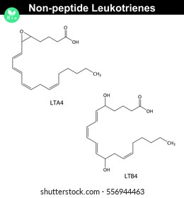 Non-peptide leukotrienes, chemical structures, 2d vector illustration, isolated on white background, eps 8
