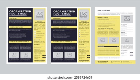 Nonprofit Organization Fact Sheet layout design template with 3 style design concept