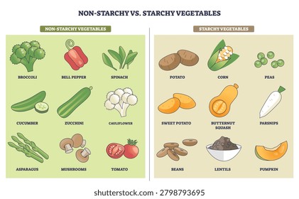 Non-starchy vs starchy vegetables chart contrasts carb groups for smart meal planning, broccoli, potato, and corn illustrated to compare choices. Outline diagram