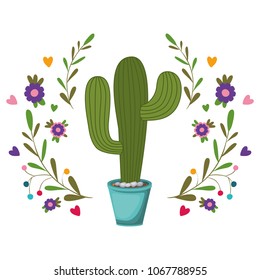 nopal cactus in pot