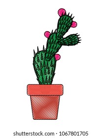 nopal cactus in pot
