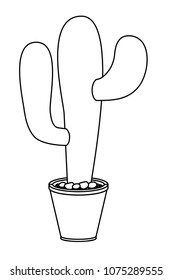 nopal cactus in pot