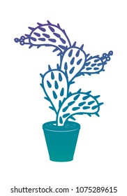 nopal cactus in pot