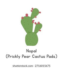 Nopal (Stachelbirnen-Kaktus-Pads), flache Cartoon-Vektorgrafik einzeln auf weißem Hintergrund