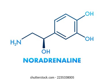 Noradrenaline concept chemical formula icon label, text font vector illustration