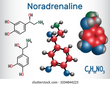 Noradrenaline (NA, norepinephrine , NE )  molecule .  It is a hormone and neurotransmitter. Structural chemical formula and molecule model. Vector illustration