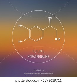 Noradrenaline neuro transmitter and hormone molecule and formula in front of cosmis background. Brain chemistry infographic.