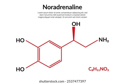 Noradrenaline or norepinephrine molecular structure formula, suitable for education or chemistry science content. Vector illustration