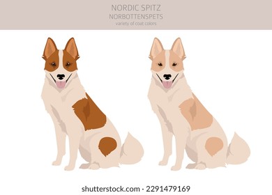 Nordic Spitz clipart. Different poses, coat colors set.  Vector illustration