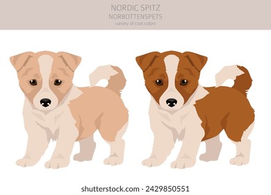 Nordic Spitz puppy clipart. Different poses, coat colors set.  Vector illustration