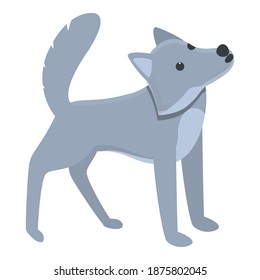 Nordic wolf icon. Cartoon of nordic wolf vector icon for web design isolated on white background