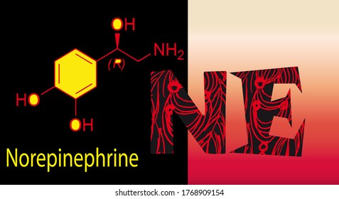 Norepinephrine. Chemical formula, Patterned N, E, Letter, Logo Design on a black background