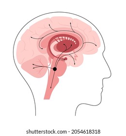 Norepinephrine Hormones Pathway In Human Brain. Noradrenaline Or Noradrenalin Neurotransmitter Concept. Mobilize Brain And Body For Action. Stress, Danger, Fight Or Flight Response Vector Illustration