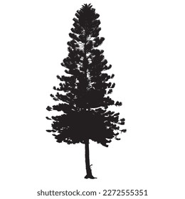 Norfolk pine silhouette. Vector illustration. Forest concept.

