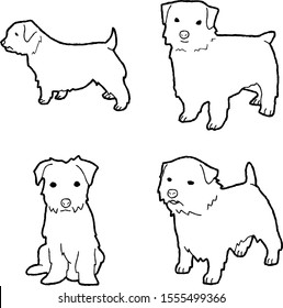 Norfolk Terrier Animal Vector Illustration Hand Drawn Cartoon Art