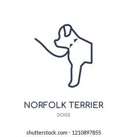 Norfolk Terrier dog icon. Norfolk Terrier dog linear symbol design from Dogs collection. Simple outline element vector illustration on white background.