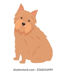 Norfolk terrier dog sitting and looking attentive, canine illustration