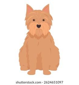 Norfolk terrier dog sitting and looking directly forward