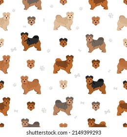 Norfolk Terrier nahtloses Muster. Unterschiedliche Posen, Farben für die Fellfarbe.  Vektorgrafik