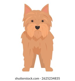 Norfolk terrier standing on white background looking forward, cute pet illustration