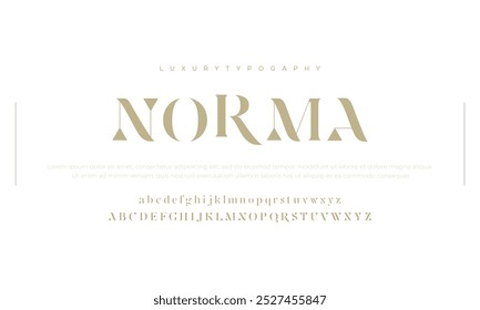 Norma estilo moderno. Elegante casamento alfabeto letras fonte e número. Tipografia Luxo clássico lettering serif fontes decorativo vintage retro logo