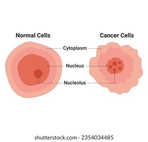 Normal Cell and Cancer Cell Vector Design