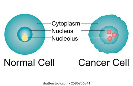 Normal Cell and Cancer Cell Vector Line Art Creative Kids Science Diagram Design Vector Illustration.