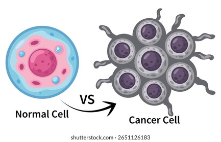 Célula normal vs célula cancerosa uma ilustração vetorial de visão geral comparativa.