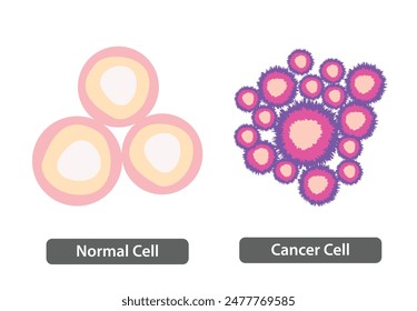 Célula Normal vs Célula Cancerosa, Pérdida del control normal del crecimiento de la célula, tejido sano y tumor, Ilustración vectorial.