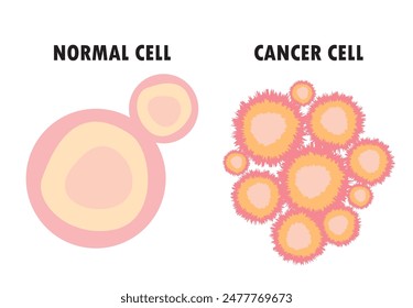 Célula Normal vs Célula Cancerosa, Pérdida del control normal del crecimiento de la célula, tejido sano y tumor, Ilustración vectorial.