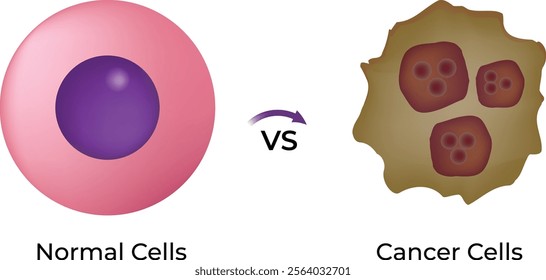 Normal Cells and Cancer Cells Structure Design Vector Illustration