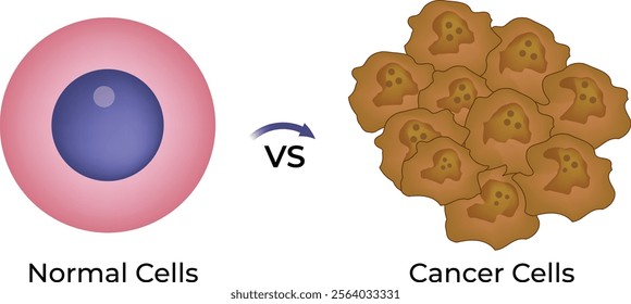 Normal Cells and Cancer Cells Structure Design Vector Illustration