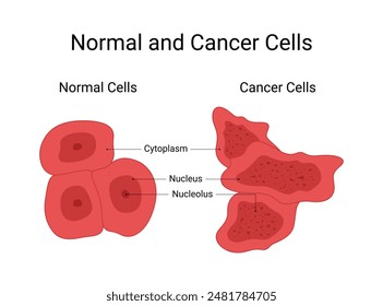 Normal Cells and Cancer Cells Vector Design