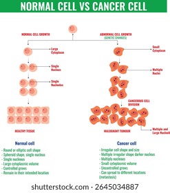 Las células normales crecen y se dividen de manera ordenada mientras que las células cancerosas crecen sin control, invaden los tejidos y se diseminan a otras partes del cuerpo